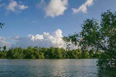 英超冠军争夺：悬念激烈，精彩纷呈！，英超冠军分析