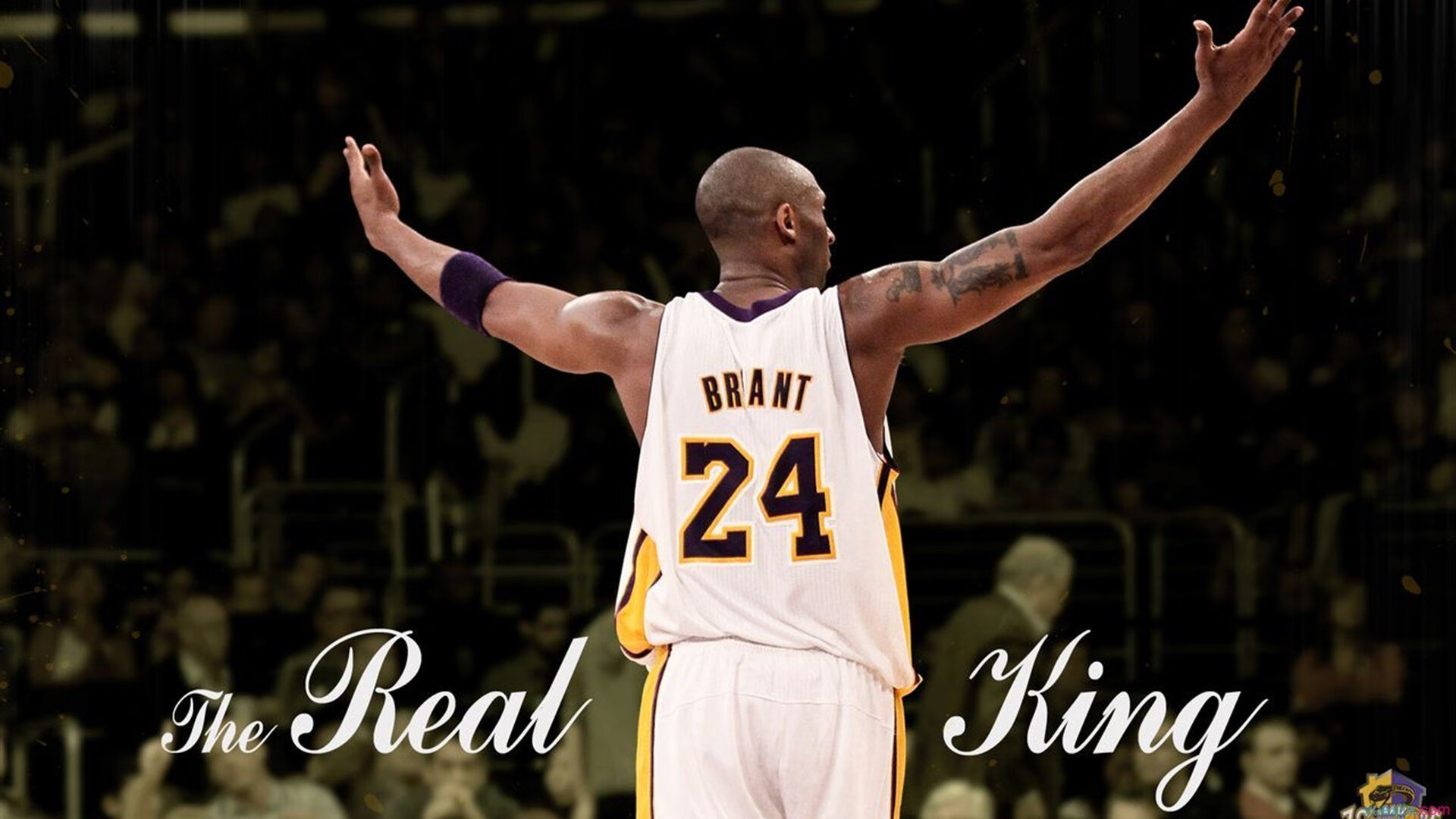 青训项目引入阶段目标评估推动系统性成长规划，青训选拔机制