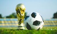 国际拳击赛选手国际交流训练周开营，国际拳击邀请赛